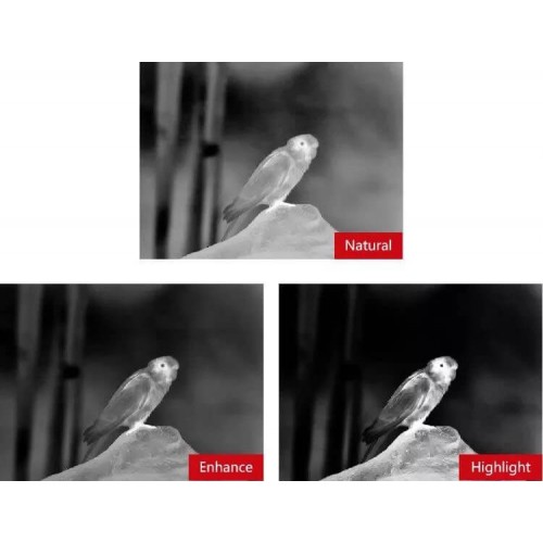 Тепловизионный бинокуляр Guide TN430 400х300, ø35мм, лазерный дальномер в Мытищах