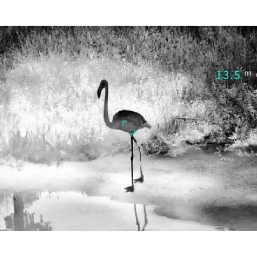 Тепловизионный бинокуляр Guide TN430 400х300, ø35мм, лазерный дальномер в Мытищах