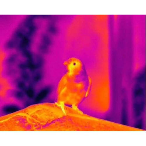 Тепловизионный бинокуляр Guide TN430 400х300, ø35мм, лазерный дальномер в Мытищах